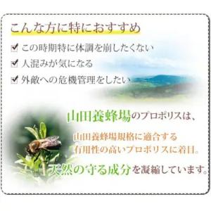 ふるさと納税 津山市 【毎月定期便】プロポリス...の詳細画像1