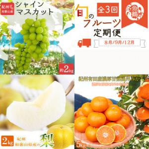 ふるさと納税 有田川町 【発送月固定定期便】紀州和歌山産旬のフルーツセットA(シャイン・梨・みかん)全3回