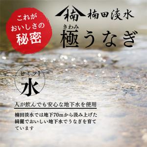 ふるさと納税 志布志市 【毎月定期便】蒲焼きと...の詳細画像1