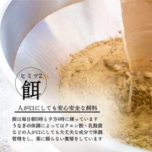 ふるさと納税 志布志市 【毎月定期便】蒲焼きと...の詳細画像2