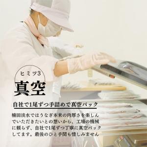 ふるさと納税 志布志市 【毎月定期便】蒲焼きと...の詳細画像3