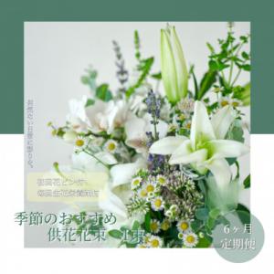 ふるさと納税 芸西村 【毎月定期便】芸西村産季節の生花花束　一束　供花　仏花　初回花瓶付【t167tmf】全6回