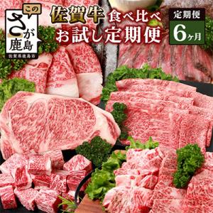 ふるさと納税 鹿島市 【毎月定期便】佐賀牛 食べ比べ(モモ・肩ロース・サーロイン・ローストビーフ・焼...