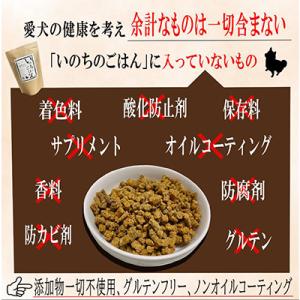 ふるさと納税 泉佐野市 【毎月定期便】国産 無...の詳細画像2