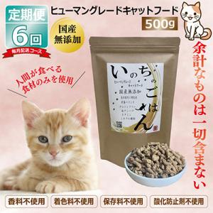 ふるさと納税 泉佐野市 【毎月定期便】国産 無添加 キャットフード「いのちのごはん」500g×全6回 099Z333
