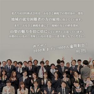 ふるさと納税 笛吹市 【発送月固定定期便】フル...の詳細画像2