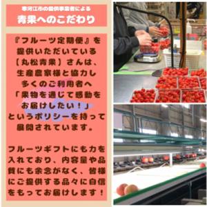 ふるさと納税 寒河江市 【発送月固定定期便】【...の詳細画像1
