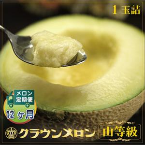 ふるさと納税 掛川市 【毎月定期便】クラウンメロン (山等級) 1玉 静岡県産 高級マスクメロン 【1年中お届け】全12回