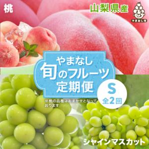 ふるさと納税 山梨市 【発送月固定定期便】やまなし旬のフルーツ定期便(桃・シャインマスカット)【S】...