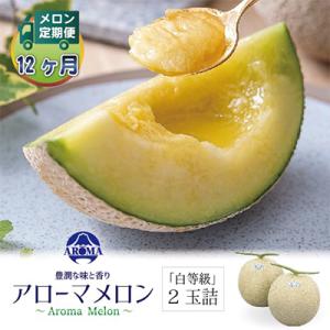 ふるさと納税 掛川市 【毎月定期便】アローマメロン(白等級) 2玉 全12回