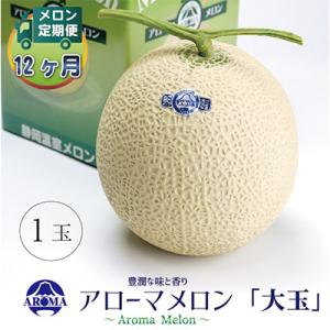 ふるさと納税 掛川市 【毎月定期便】アローマメロン白等級(大玉) 1玉 全12回