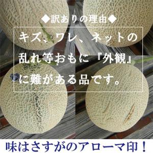 ふるさと納税 掛川市 【毎月定期便】【訳あり】...の詳細画像1