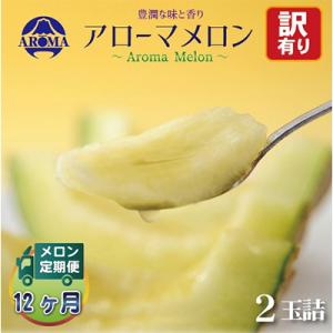 ふるさと納税 掛川市 【毎月定期便】【訳あり】アローマメロン 2玉 全12回