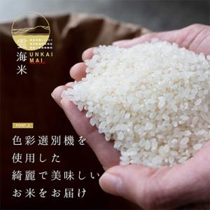 ふるさと納税 南魚沼市 【毎月定期便】南魚沼産...の詳細画像3