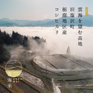 ふるさと納税 南魚沼市 【毎月定期便】南魚沼産...の詳細画像2