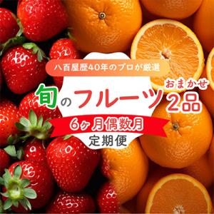 ふるさと納税 長崎市 【発送月固定定期便】旬のフルーツセット 季節により厳選した果物を1〜2品目　詰...