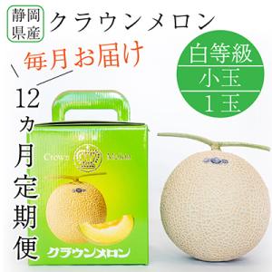 ふるさと納税 森町 【毎月定期便】クラウンメロン白等級小玉(1.1kg前後)1玉入り 全12回【森町SF】