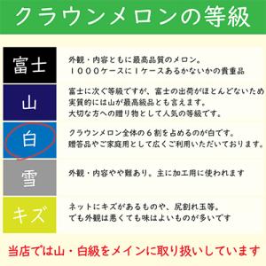 ふるさと納税 森町 【毎月定期便】クラウンメロ...の詳細画像1