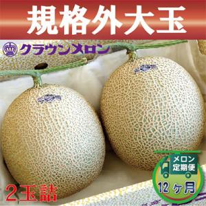 ふるさと納税 森町 【毎月定期便】クラウンメロン(規格外大玉) 2玉 全12回【森町SF】