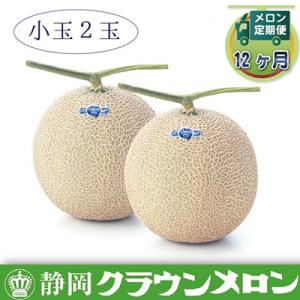 ふるさと納税 森町 【毎月定期便】クラウンメロン(小玉) 2玉 全12回【森町SF】