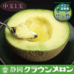 ふるさと納税 森町 【毎月定期便】クラウンメロン中玉(白等級) 1玉 全12回【森町SF】