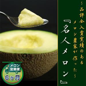ふるさと納税 森町 【毎月定期便】クラウンメロン(名人メロン) 1玉 全6回【森町SF】