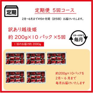 ふるさと納税 上越市 【発送月固定定期便】【2月〜6月発送】訳あり越後姫10pセット 約2000g入り全5回