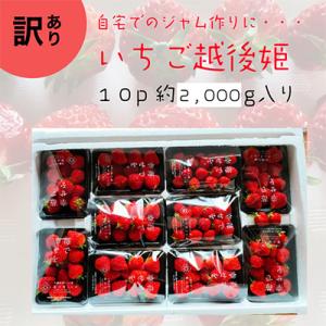 ふるさと納税 上越市 【発送月固定定期便】【1月〜6月発送】訳あり越後姫10pセット 約2000g入り全6回