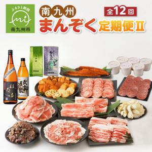 ふるさと納税 南九州市 【発送月固定定期便】南九州まんぞく定期便2全12回