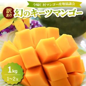 ふるさと納税 今帰仁村 【2026年8月中旬から順次発送・訳あり】今帰仁産の幻のキーツマンゴー1kg(1〜2玉)