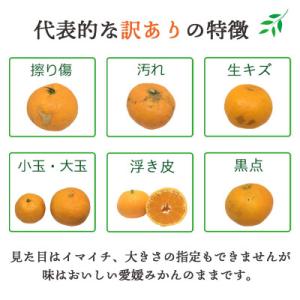 ふるさと納税 八幡浜市 【発送月固定定期便】愛...の詳細画像2