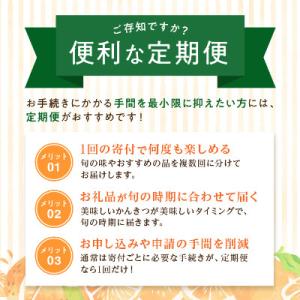 ふるさと納税 八幡浜市 【発送月固定定期便】愛...の詳細画像3
