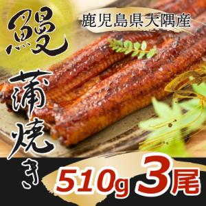 ふるさと納税 鹿屋市 【発送月固定定期便】大隅特産うなぎ蒲焼 3尾(510g) 2182 全4回