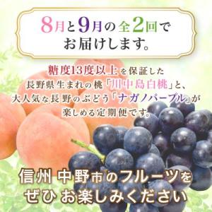 ふるさと納税 中野市 【発送月固定定期便】JA...の詳細画像1