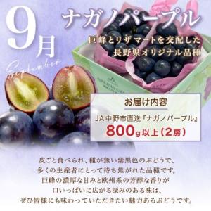 ふるさと納税 中野市 【発送月固定定期便】JA...の詳細画像3