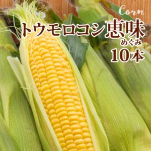 ふるさと納税 富良野市 【発送月固定定期便】富...の詳細画像2