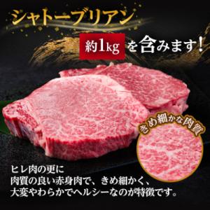 ふるさと納税 羽島市 【毎月定期便】飛騨牛 ヒ...の詳細画像2