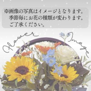 ふるさと納税 桜川市 【2ヵ月毎定期便】「隔月...の詳細画像2