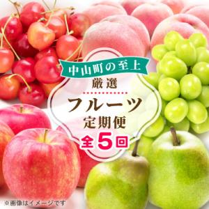 ふるさと納税 中山町 【発送月固定定期便】中山町の至上・厳選フルーツ定期便全5回