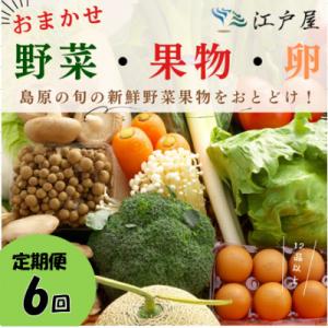 ふるさと納税 島原市 【毎月定期便】旬の野菜・フルーツ・卵(6個) おまかせセット全6回