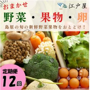 ふるさと納税 島原市 【毎月定期便】旬の野菜・フルーツ・卵(6個) おまかせセット全12回
