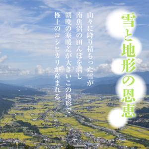 ふるさと納税 南魚沼市 【毎月定期便】無洗米 ...の詳細画像1