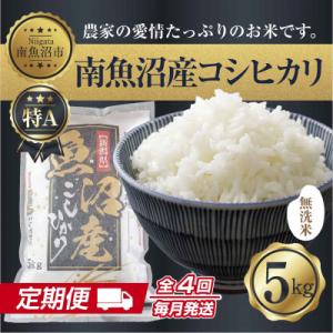 ふるさと納税 南魚沼市 【毎月定期便】無洗米 南魚沼産 コシヒカリ 精米 5kg(美味しい炊き方ガイド付)全4回