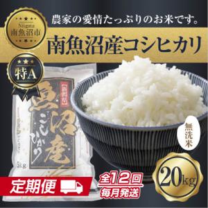 ふるさと納税 南魚沼市 【毎月定期便】無洗米 南魚沼産 コシヒカリ 精米 20kg(美味しい炊き方ガイド付)全12回