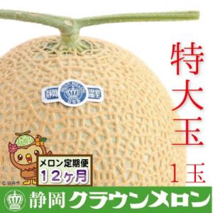ふるさと納税 袋井市 【毎月定期便】クラウンメロン(白等級)特大玉　1玉全12回