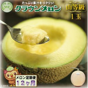 ふるさと納税 袋井市 【毎月定期便】【通年出荷】クラウンメロン(山等級) 1玉　全12回