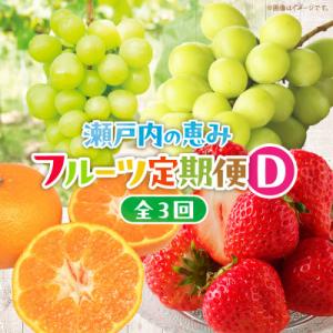ふるさと納税 高松市 【発送月固定定期便】高松市自慢のフルーツ【D】全3回