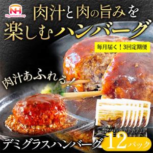 ふるさと納税 常総市 【毎月定期便】肉汁あふれるデミグラスハンバーグ12個入 計1.92kg|冷凍個...