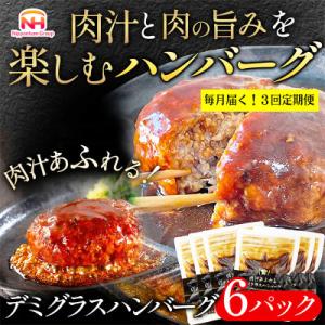 ふるさと納税 常総市 【毎月定期便】肉汁あふれるデミグラスハンバーグ6個入 計0.96kg|冷凍 個...