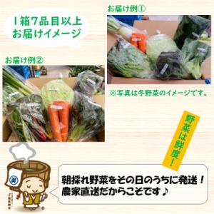 ふるさと納税 あわら市 【毎月定期便】農家直送...の詳細画像2